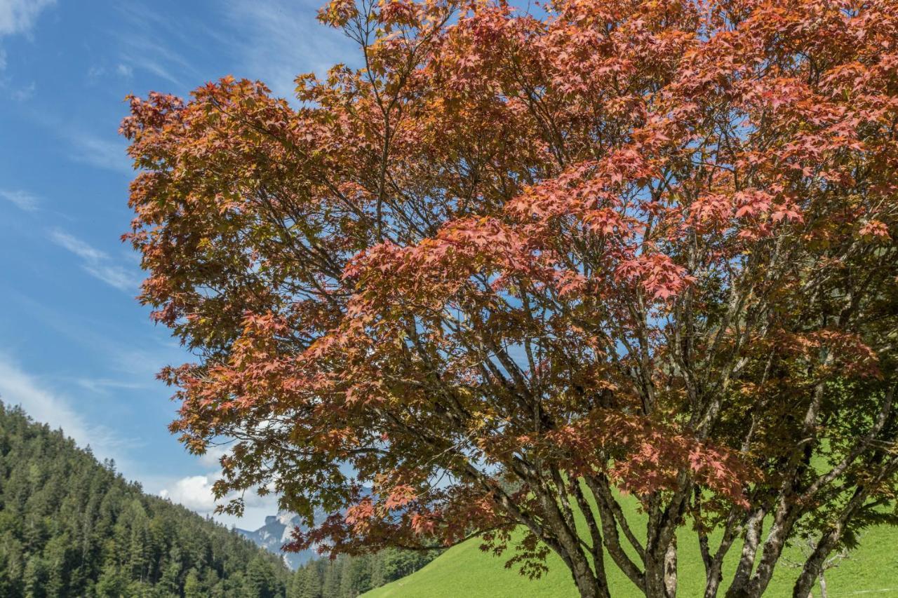 Ferienwohnung Jaegermeister Sankt Martin bei Lofer Exteriör bild